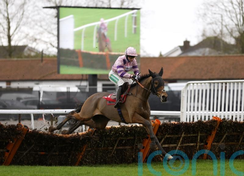 Iceo seeking to book Triumph Hurdle ticket