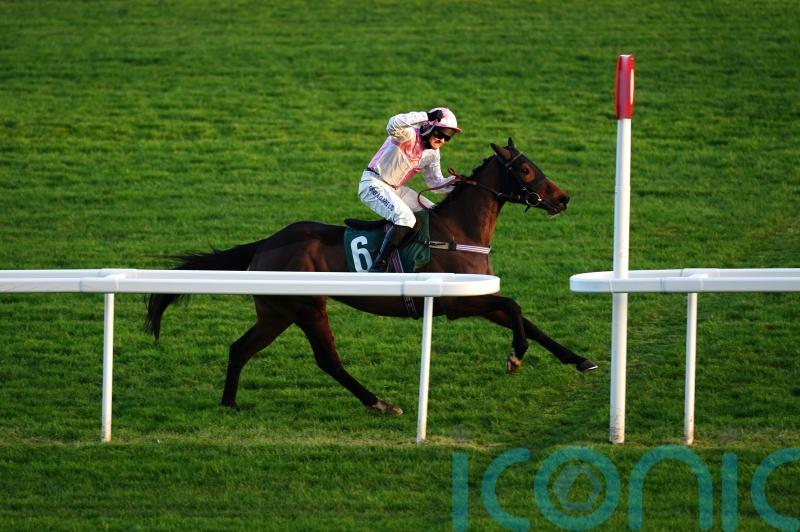 Harris mulling options for Cheltenham victor Mullenbeg