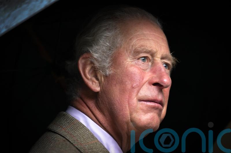 Charles urges people to make 2022 ‘a year of action’