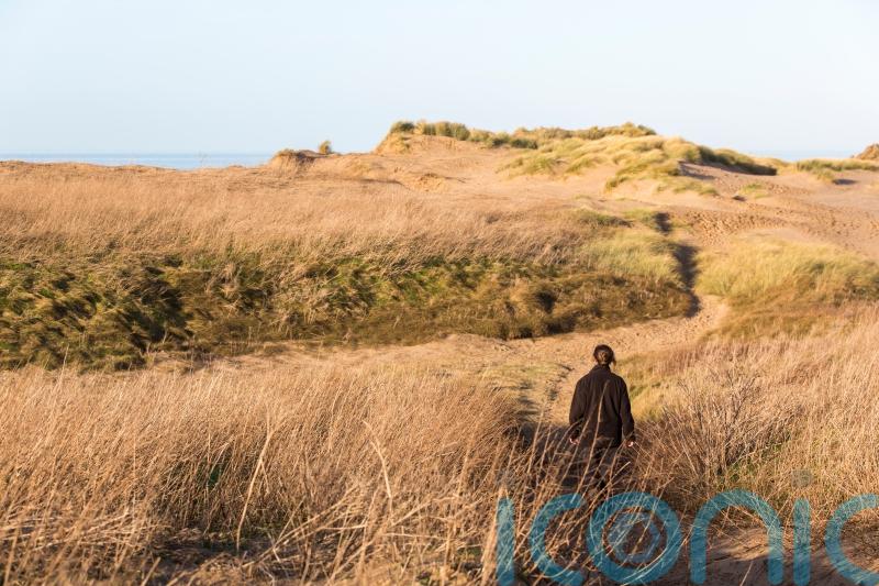 New life for old tobacco dump in sand dune landscape to help nature