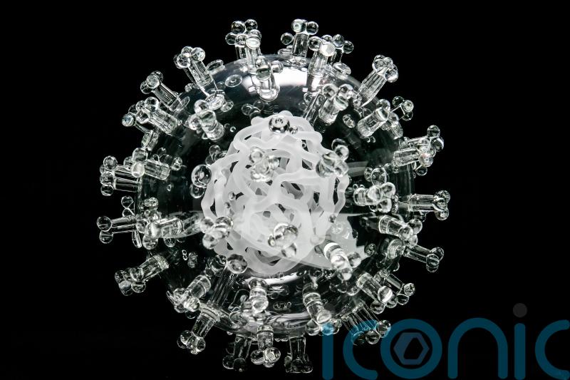 Powerful immune cells able to recognise Omicron, study suggests