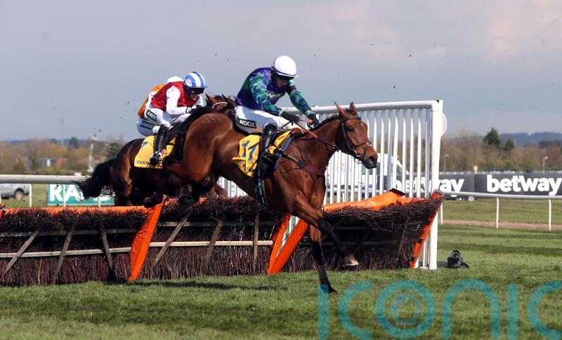 O’Brien confident Thyme Hill can make his Cheltenham Festival mark