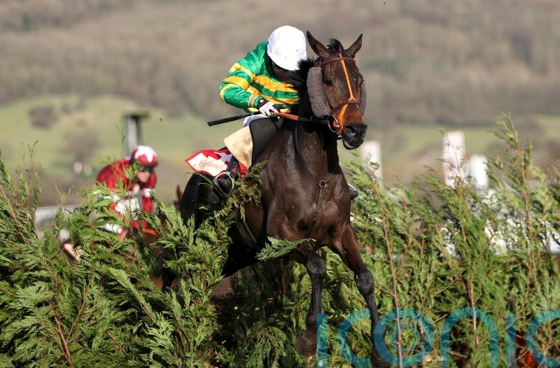 Easysland to make Sandown debut for Jonjo O’Neill