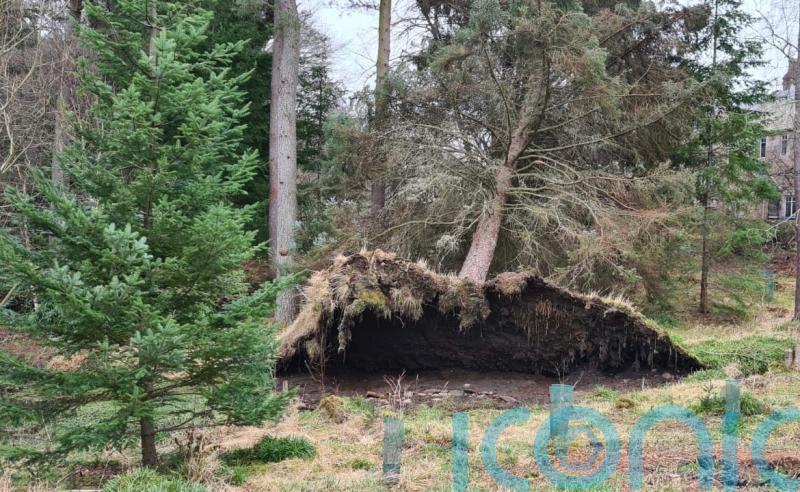 Final customers to have power restored following weekend storms
