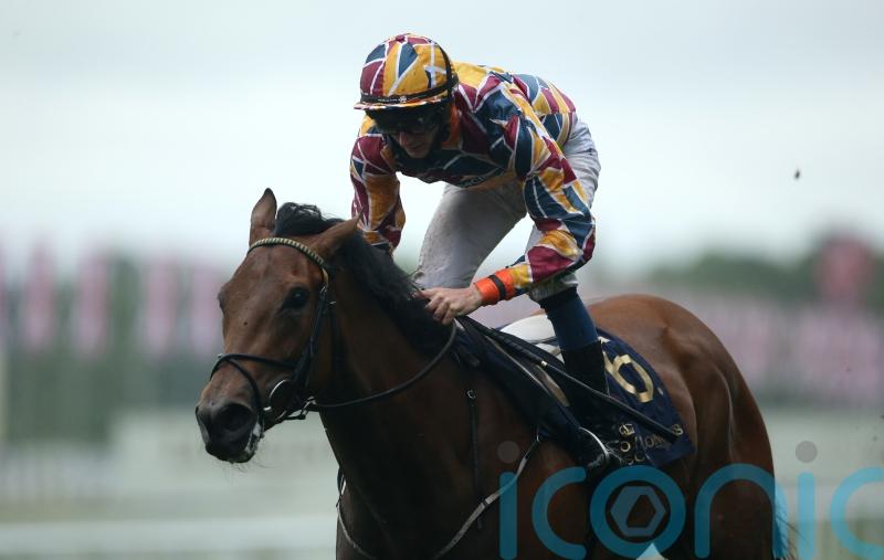 Royal Ascot winner Create Belief retired due to injury