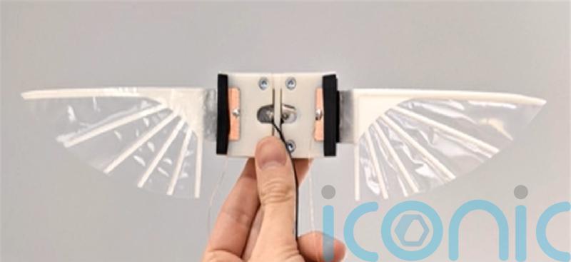 Scientists develop robots the size of insects that flap their wings to fly