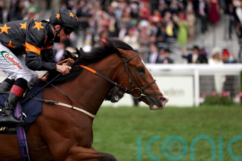 Rohaan ready to rumble on Lingfield reappearance