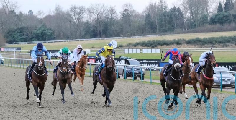 Spycatcher flies home to take Lingfield honours