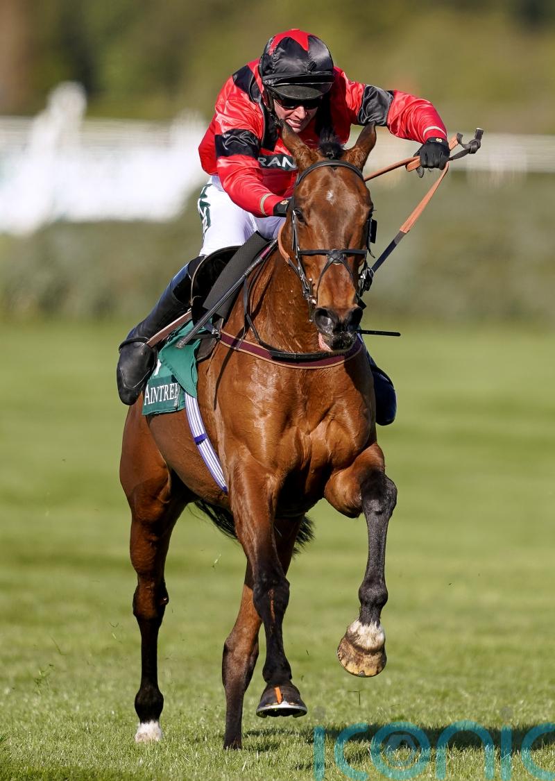 Big decisions await Ahoy Senor team after Wetherby