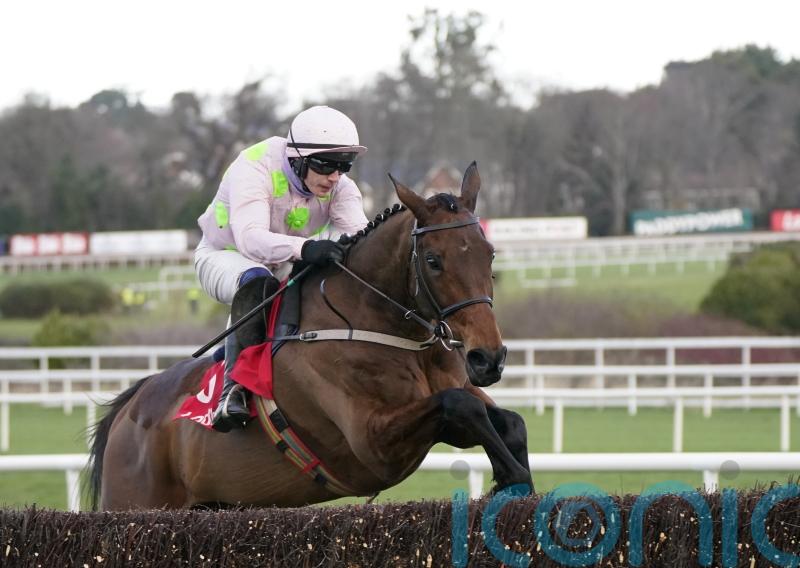 Chacun Pour Soi shines on return to favourite hunting ground