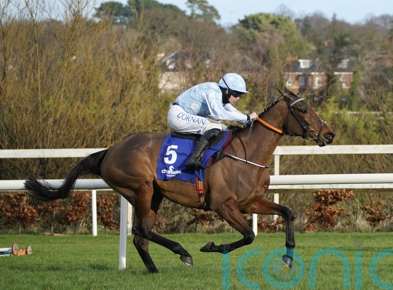Honeysuckle does it again in Irish Champion Hurdle