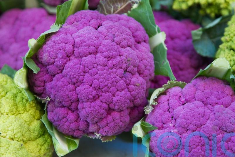 Discover the power of purple veg