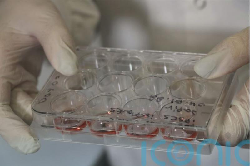 Paralysed people could walk again thanks to newly created 3D spinal cord implants