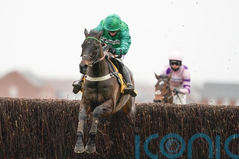 Sceau back by Royal appointment at Newbury