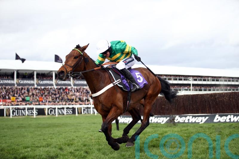 Champ confirmed for Stayers’ Hurdle – but no Cheltenham for Sharjah