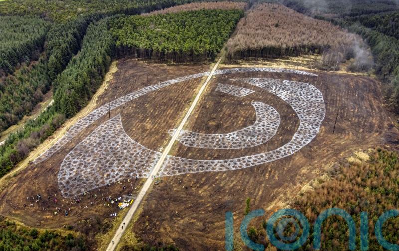 Giant forest eye will inspire youngsters to address climate change, say artists
