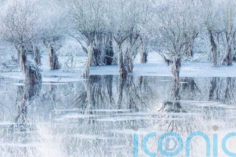 ‘Poignant’ image of frozen lake wins public vote in wildlife photography contest