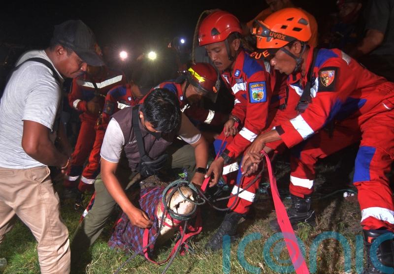 Crocodile freed from tyre stuck on its neck for six years
