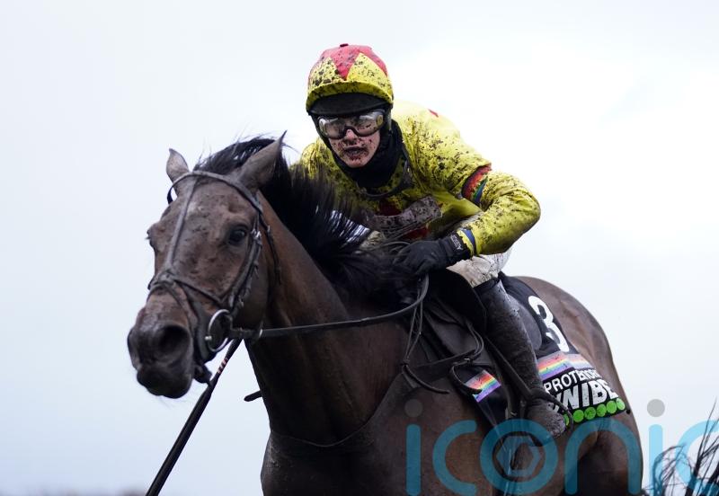 Protektorat ready to take on the best at Cheltenham
