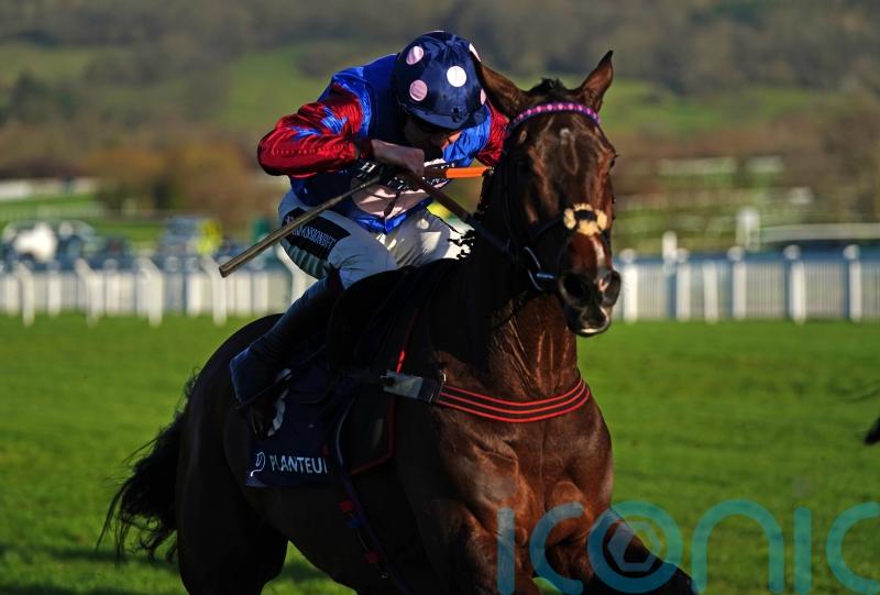 Gemmell planning Cheltenham return for Paisley Park Stayers’ date