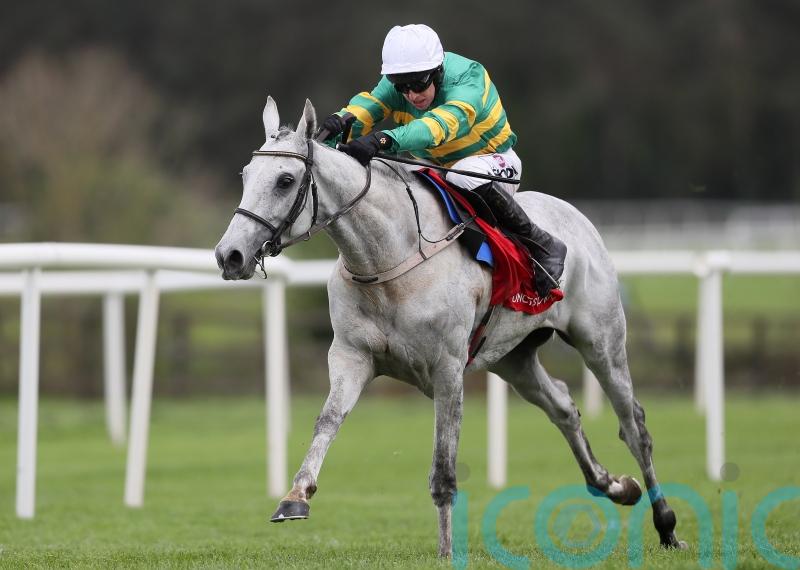 Elimay has ‘perfect launchpad’ for Cheltenham return