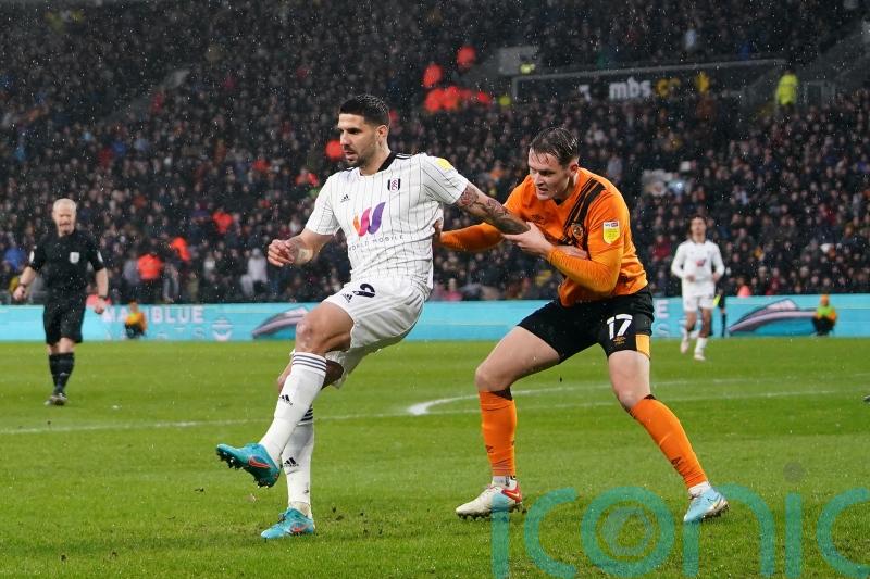 Aleksander Mitrovic on target again as Fulham see off Hull