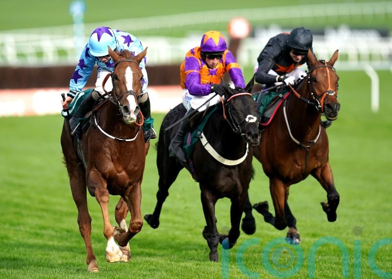 McConnell lining up dual challenge on Albert Bartlett prize