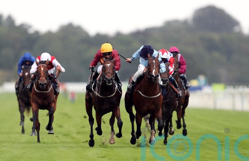Spycatcher to take direct route to Finals Day at Newcastle