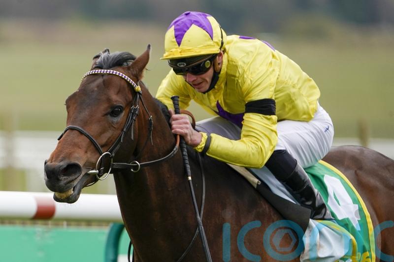 Haggas eyeing bigger targets for Southwell victor My Oberon