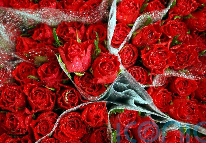 Feeling blue could be why you forgot to buy those Valentine’s Day flowers