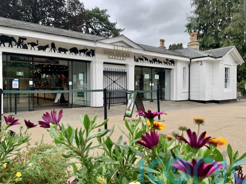 One of UK’s oldest zoos to shut after 186 years