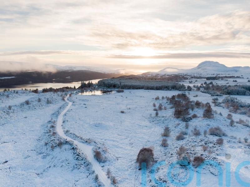 Fund launched to boost innovative rewilding projects and bring back nature