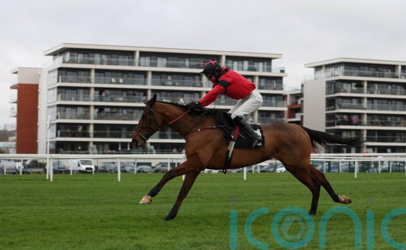 Novice route looks set to be favoured for Ahoy Senor