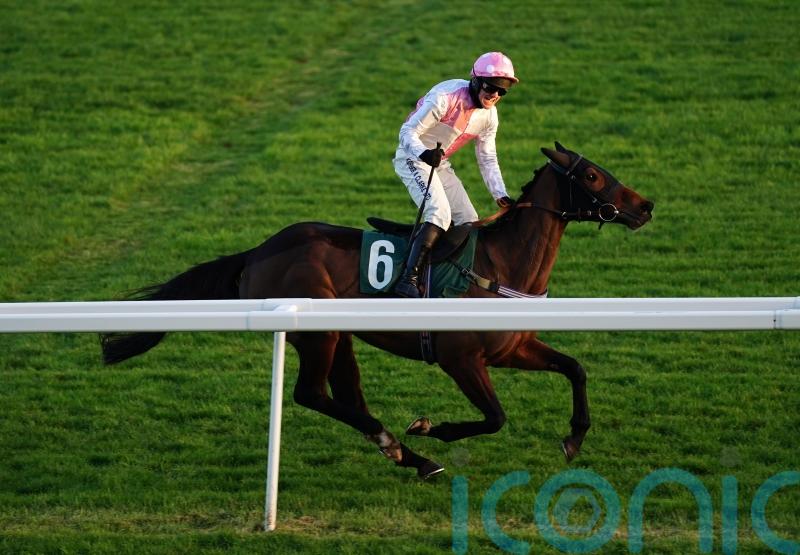 Harris could field two-pronged attack on Champion Bumper