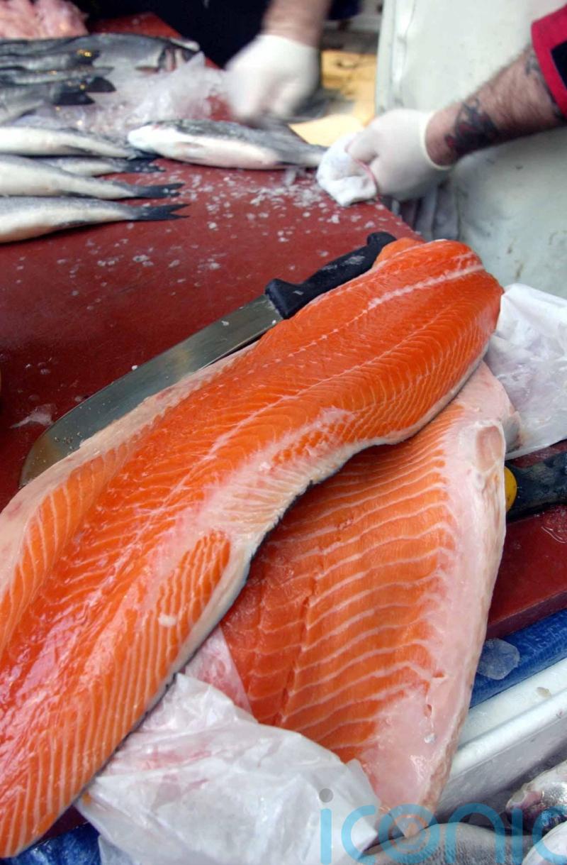 Scottish salmon sales grow as exports return to pre-pandemic levels