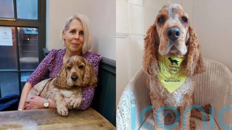 Dapper cocker spaniel dog brings laughter to the corridors of a women’s prison during therapy visits to help inmates who are missing their pets