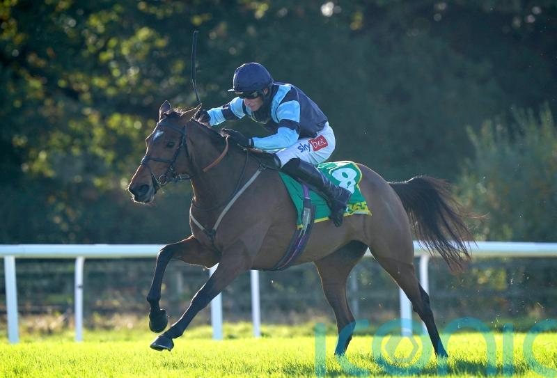 Stayers’ Hurdle could prove tempting for Indefatigable