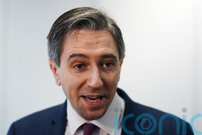 ‘Astonishing’ that Sinn Fein could appoint advisers with convictions – minister