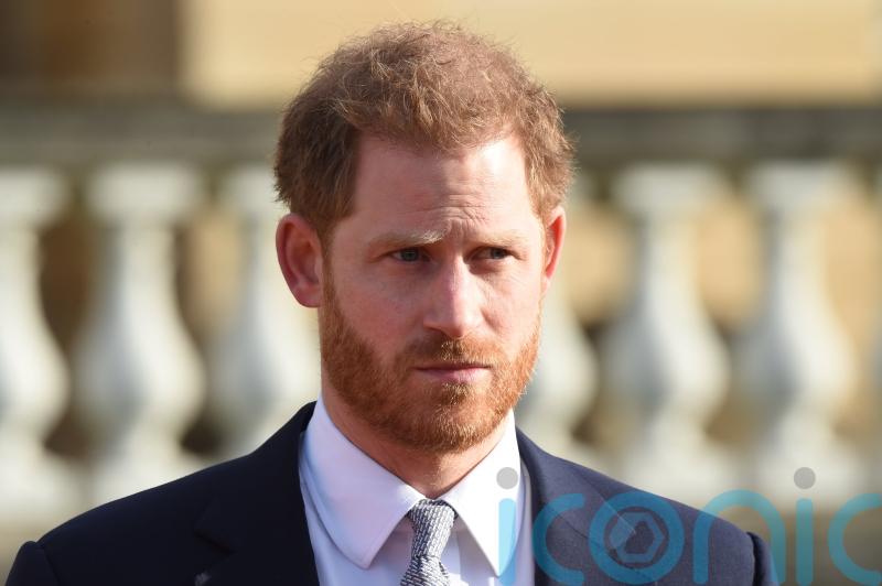 Harry’s offer to pay for security ‘irrelevant’, High Court told