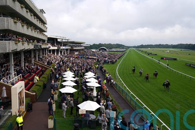 Haydock and Wincanton cards given green light