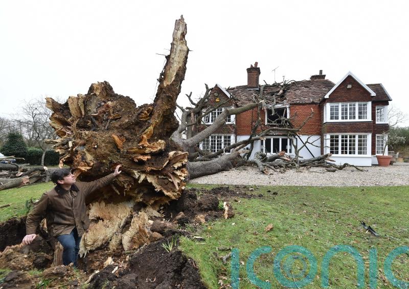 Family home ‘destroyed’ after 400-year-old oak tree crashes through roof