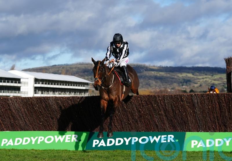 Imperial Alcazar has Cheltenham options over two and a half miles