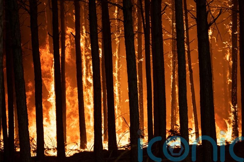 Rain brings hope for fire-ravaged province in Argentina