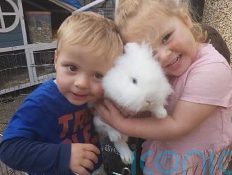 Van driver admits killing young siblings in M4 crash
