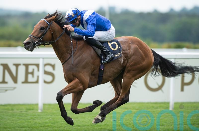 Lord North all set to headline top-class Winter Derby field