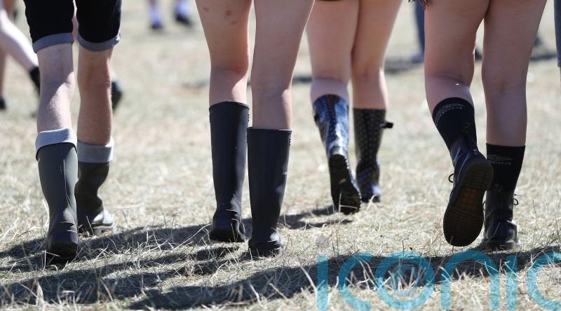 Connect Music Festival set to be relaunched after 14-year hiatus