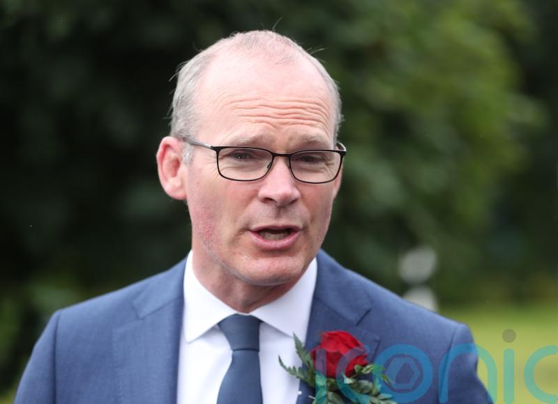 Ireland&rsquo;s support of Ukrainian sovereignty is &lsquo;unwavering&rsquo; &ndash; Coveney