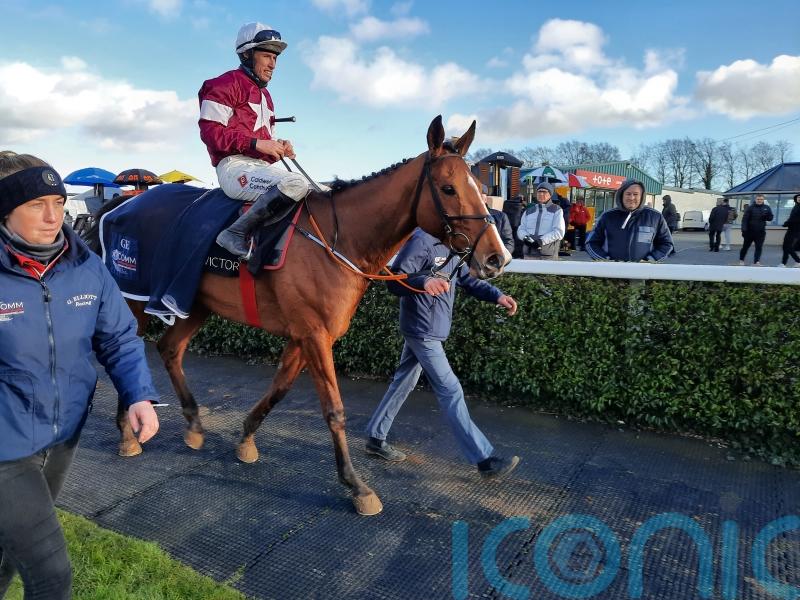 Farouk D’Alene cut for Cheltenham glory after Navan win