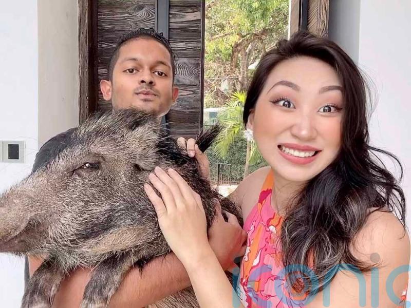 VIDEO: Animal mad pair who rear wild boar baby the size of a loaf of bread with their dogs say she is now 130lb but still sees their Labrador as her mum