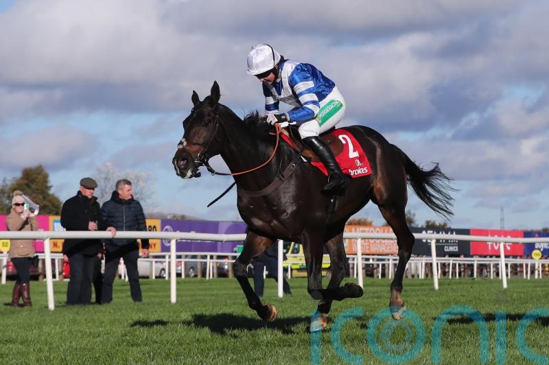 Frodon handed Cheltenham handicap option
